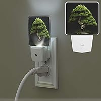 Evergreen Tree Print Night Light with Light Sensors Plug in LED Lights Smart Nightstand Lamp Plug in Night Light for Bedroom Bathroom Hallway Home Decor