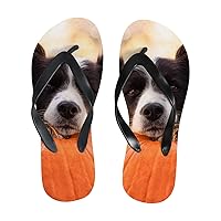 Vantaso Slim Flip Flops for Women Border Collie Laying on Pumpkin Yoga Mat Thong Sandals Casual Slippers