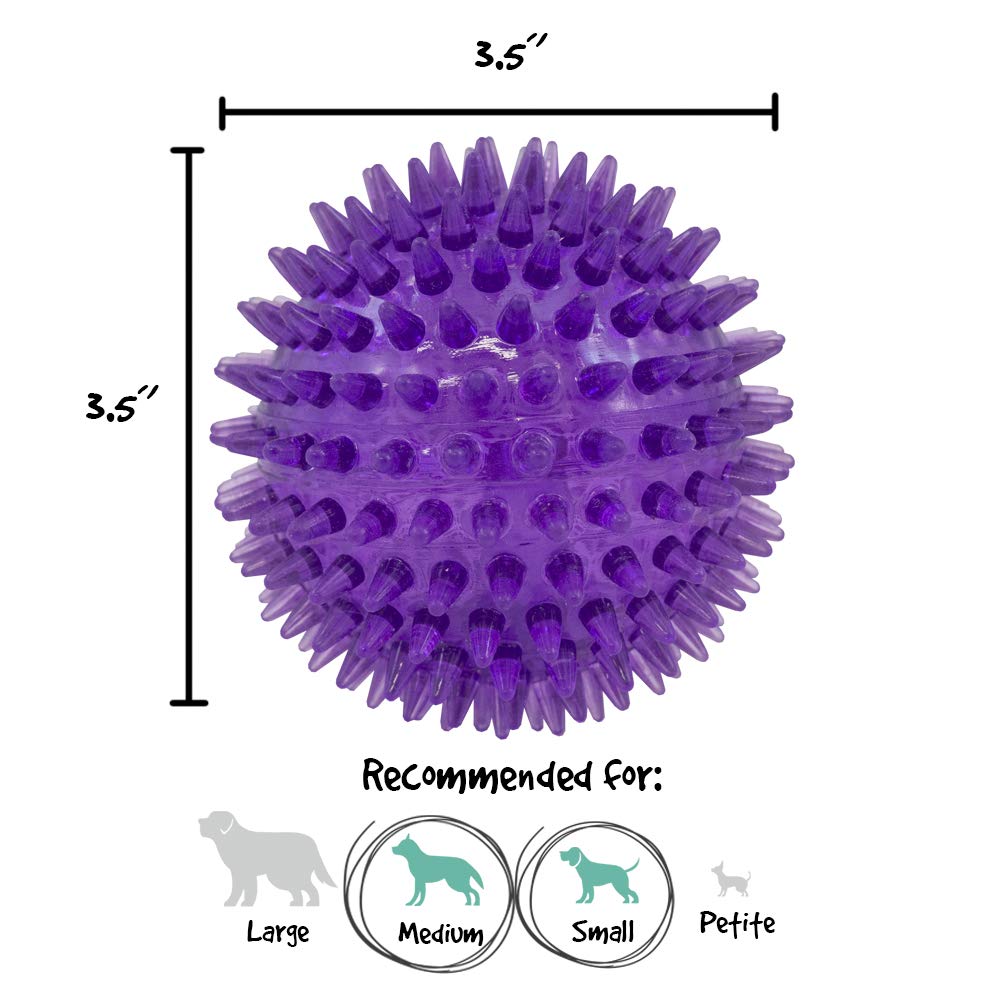 Gnawsome Medium Squeaker Ball Dog Toy, Medium 3.5