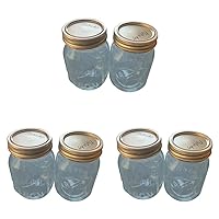 NutriChefKitchen Mason Jars with Lids - 16oz DIY Magnetic Spice Jar Glass Container w/Airtight Lid and Band - Ideal for Meal Prep, Overnight Oats,Jelly,Jam, Honey,Candles,Crafts,Wedding Favors (2 Pcs)