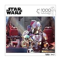 Star Wars - This is Not A Toy - 1000 Piece Jigsaw Puzzle for Adults Challenging Puzzle Perfect for Game Nights - 1000 Piece Finished Size is 26.75 x 19.75