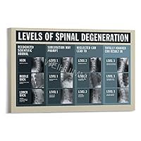 WENHUIMM Levels of Spinal Degeneration Chiropractors Spine Knowledge Guide Poster (11) Wall Poster Art Canvas Printing Poster Office Bedroom Aesthetic Poster Frame-style 30x20inch(75x50cm)