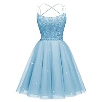 Short Prom Dresses Sparkly Tulle Homecoming Dresses Lace Appliques Party Dresses