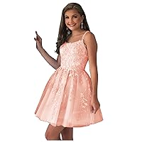 Short Homecoming Dresses Appliques 2023 A-Line Tulle Prom Party Dress for Juniors
