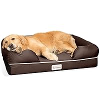 PetFusion Ultimate Dog Bed, Orthopedic Memory Foam, Multiple Sizes and Colors, Medium Firmness Pillow, Waterproof Liner, YKK Zippers, Breathable 35% Cotton Cover