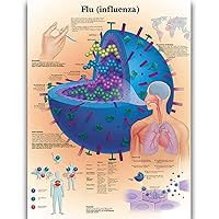 Flu(influenza) Science Anatomy Posters for Walls Medical Nursing Students Educational Anatomical Poster Chart Medicine Disease Map for Doctor Medical Enthusiasts Kid's Enlightenment Education Waterproof Canvas