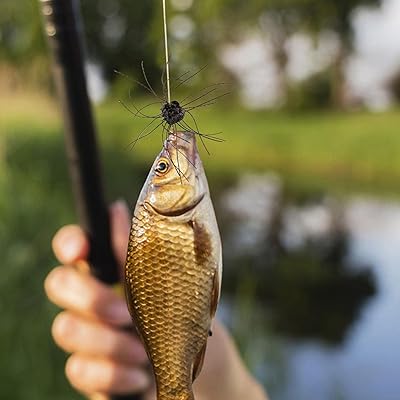 Mua Soft Fishing Lures - Soft Bait Fishing Lures Spoon Dice Rubber Handmade  - Dice Whisker Throw Sinking Bait Spoon Lure for Salmon Bass Hopweik trên   Nhật chính hãng 2024