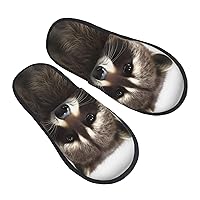 Hairy raccoon Furry Slippers for Men Women Fuzzy Memory Foam Slippers Warm Comfy Slip-on Bedroom Shoes Winter House Shoes for Indoor Outdoor