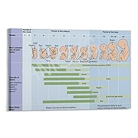 Generic Pregnancy And Childbirth Informative Art Poster (1) Canvas Painting Wall Art Poster for Bedroom Living Room Decor 24x16inch(60x40cm) Frame-style