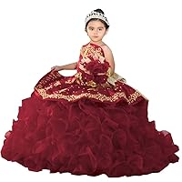 2024 Gold Embroidered Pearl Ball Gown Ruffle Mini Quinceanera Prom Formal Dresses for Little Girls Toddler