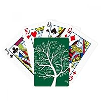 Seeking Limits Mathematical Formulas Calculus Poker Playing Magic Card Fun Board Game