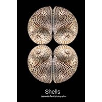 SHELLS (BLINK) (Italian Edition) SHELLS (BLINK) (Italian Edition) Hardcover