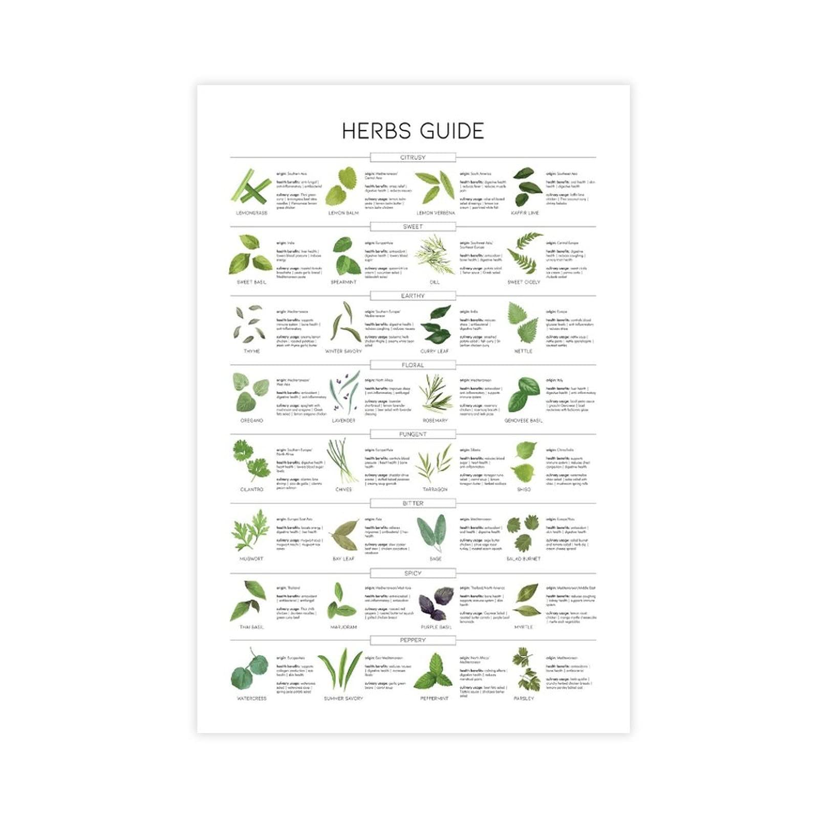 Mua Guides For The Kitchen Herbs Guide Poster Canvas Poster ...