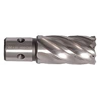 QuickIN 38312035 HSS-Co Core Drill 8 Percent 12.0 mm Cutting Depth 35.0 mm