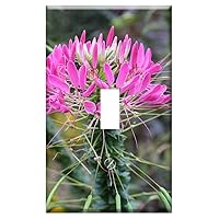 Switch Plate Single Toggle - Flowers Cleome Pink Perennials Garden Closeup