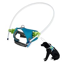 Blind Dog Halo,Blind Dog Harness Guiding Device,Adjustable Face Head Protection Ring,Pet Anti-Collision Ring for Blind and Poor Vision Dogs,Avoid Accidents & Build Confidence (M)
