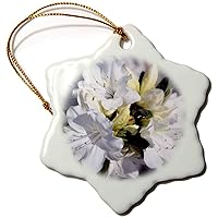 3dRose Cluster of White Azaleas with Blur Effect - Ornaments (orn-182249-1)