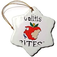 Funny Awareness Support Cause Colitis Mean Apple - Ornaments (orn-120503-1)