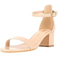 Women's Strappy Chunky Block Low Heeled Sandals 2 Inches Open Toe Ankle Strap High Heel Dress Sandals Daily Work Party Shoes