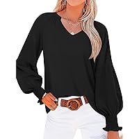 Women's Casual Tunic Tops V Neck Fall Winter Blouse Long Sleeve Loose Fit Tee Shirts