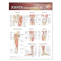 Joints: Lower Extremities