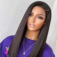 Silky Straight Side Part 13X6 Lace Front Wigs For Black Women Brazilian Remy Human Hair Glueless Short Cut 13X4 Lace Front Wigs Pre Plucked Baby Hair-10inch 130% 13X4 Lace Front Wig
