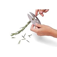 Stripper Tool for Herbs and Leafy Greens, Graduated, Stainless Steel