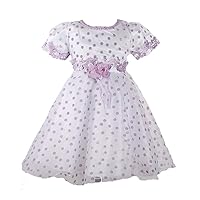 Clothing Baby Girls' Party Pageant Dress