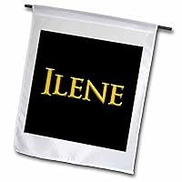 3dRose Ilene attractive girl baby name in the USA. Yellow on black gift - Flags (fl_356422_1)