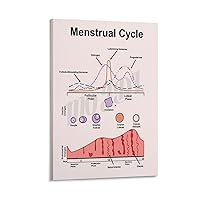 MOJDI Menstrual Health Poster Poster for A Guide to Women's Menstrual Cycles Canvas Painting Posters And Prints Wall Art Pictures for Living Room Bedroom Decor 12x18inch(30x45cm) Frame-style