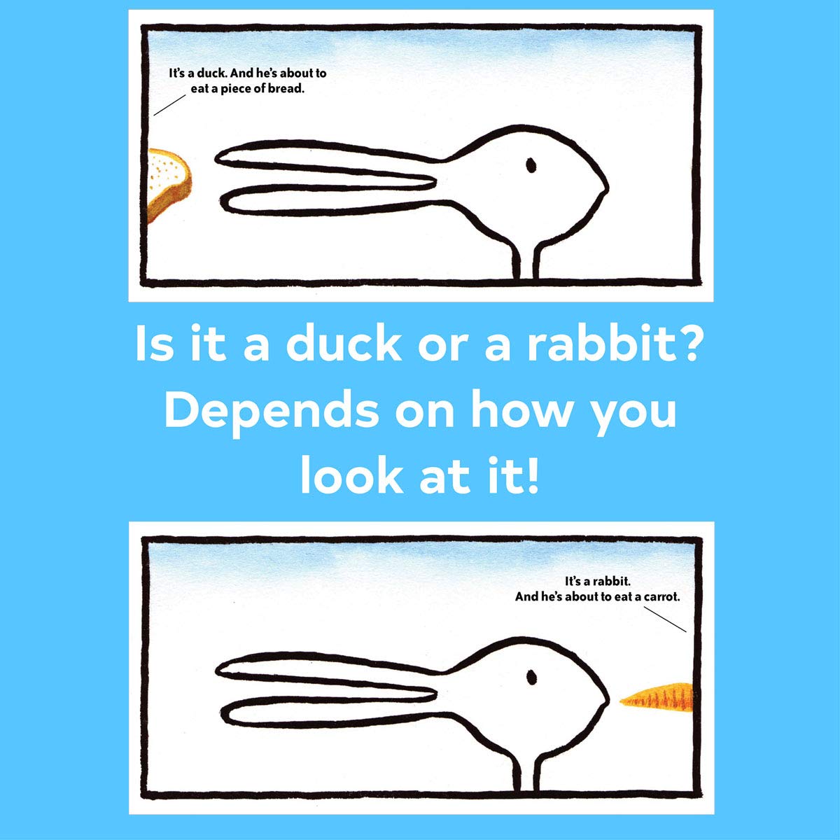 Duck! Rabbit!: (Bunny Books, Read Aloud Family Books, Books for Young Children)