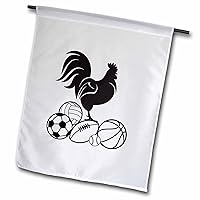 3dRose Cock Funny - Cock and Balls - Flags (fl-381961-1)