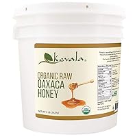 Organic Raw Oaxaca Honey 8 Lbs Pail