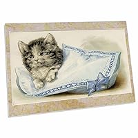 3dRose Florene Vintage - Kitten On Blue and White Pillow - Desk Pad Place Mats (dpd-35379-1)