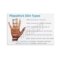 RUIUIPTG Fitzpatrick Skin Types Art Poster Canvas Painting Wall Art Poster for Bedroom Living Room Decor 08x12inch(20x30cm) Unframe-style