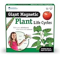Learning Resources Giant Magnetic Plant Life Cycle,Multi-color,7 in L X 9 in H