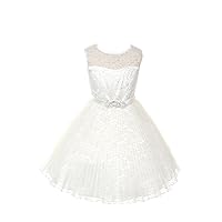 Lovely Tulle Pleated Lace Flower Girl Dress