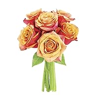 KaBloom PRIME NEXT DAY DELIVERY - Mother’s Day Collection - Bouquet of 6 Orange Roses Gift for Birthday, Sympathy, Anniversary, Get Well, Thank You, Valentine, Mother’s Day Flowers