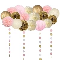 19 Pcs Pink and Gold Tissue Paper Flowers Pom Poms Lanterns and Garland for Baby Shower Party Decoration