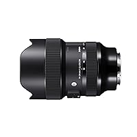 Sigma 213965 14-24mm F2.8 DG DN Art for Sony E Mount, Black