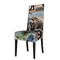 Elephant and Baby Elephant Protection Cover for Dining Chair, Comfortable, Removable Slipcovers for Hotel, Banquet