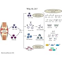 Multifaceted role of IL-21 in the pathogenesis of Rheumatoid Arthritis - Current Understanding and Future Perspectives (Involvement of IL-21 in the Pathogenesis of Rheumatoid Arthritis)