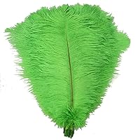 Zamihalaa - Hard Rod 10 Pcs/Lot Natural Green Ostrich Feathers for Crafts 15-75CM Carnival Party Wedding Decorations Jewelry Plume