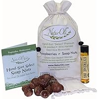 Soap Nuts/Soap Berries - 8oz organic (120 loads) + 18X Travel Bottle! Select Seedless - 1 Wash Bag, 8-pg info, Tote Bag. Organic Laundry Soap