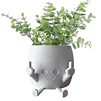 Smiling Plant Pot with Middle Fingers Up,Novelty Planter Holds Small Plants, Home Decor Indoor for Live Plants,Funny Expression Indoor Plant Pot for Plant Lover