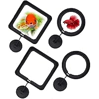 4pcs Black Fish Feeding Ring Floating Food Square, Suitable for Flakes and Floating Fish Food for Goldfish (Round and Square)