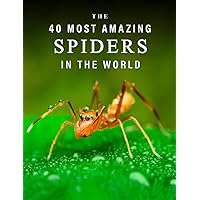 The 40 Most Amazing Spiders in the World: A full color picture book for Seniors with Alzheimer's or Dementia (The 