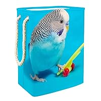 Laundry Hamper Budgerigar Budgies Melopsittacus Collapsible Laundry Baskets Firm Washing Bin Clothes Storage Organization for Bathroom Bedroom Dorm
