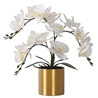 LESING Artificial Orchid Flower with Vase, White Orchid Bonsai Faux Orchid Phalaenopsis Plant Pot Arrangements for Home Decoration (White,Gold Vase)