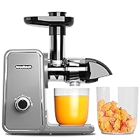 Juicer Machine, Cold Press Juicer with 2 Speed Modes, Slow Masticating Juicer Vegetable and Fruit, Celery Juicer, BPA-Free, Easy to Clean, Galaxy Grey